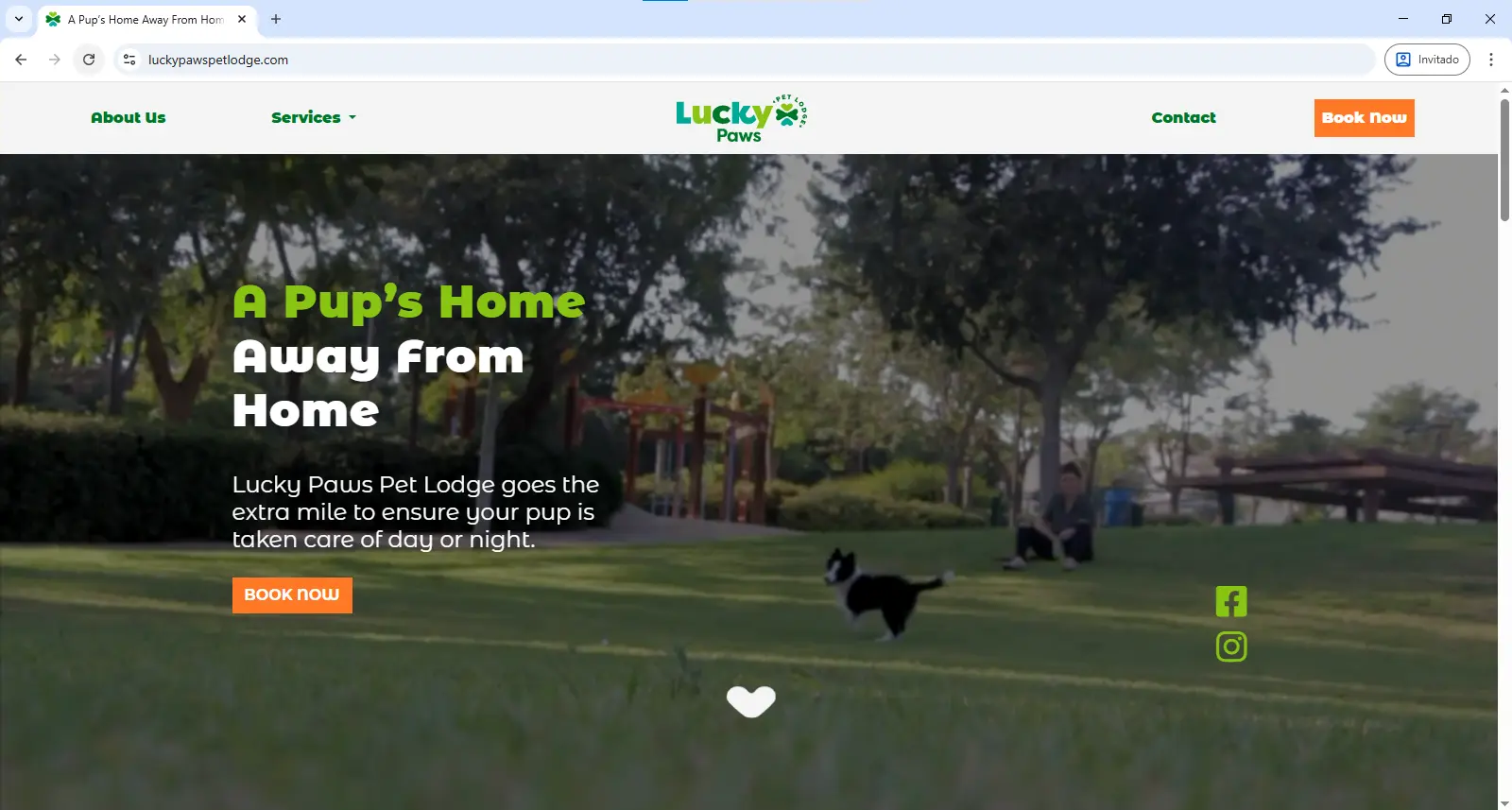 Lucky Paws Pet Lodge